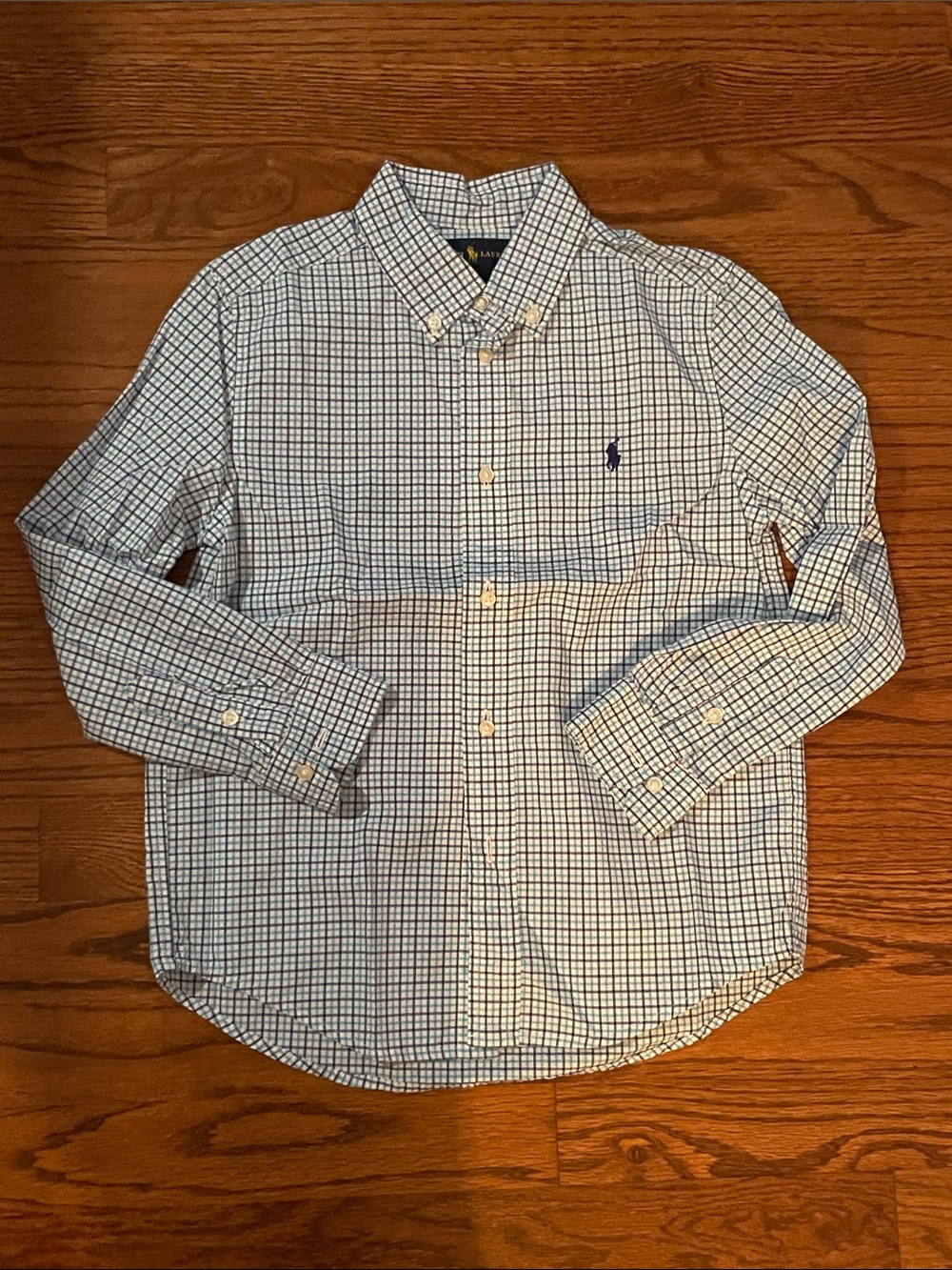 Polo by Ralph Lauren Blue and White Check Oxford Button-Down Shirt